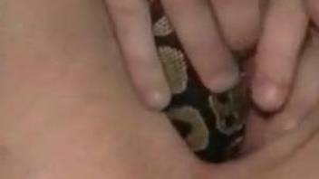 Bestiality girl shoves the whole snake inside twat