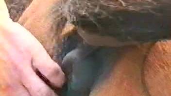 Guy just can't get enough of this tasty mare's vagina