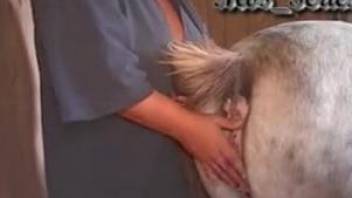 Mannish MILF fingering horse pussy before fucking a pony