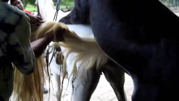 Hot stud ramming a pale filly's tasty cunt