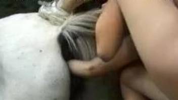 Zoophilic lady fist-fucking a mare's hot pussy