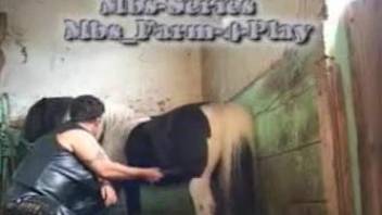 Mature sucks horse's penis in extra sloppy modes