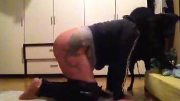 Tatted-up zoophile tries to seduce a dog on camera