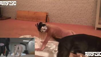 Mask-wearing lovely lady fucking a black dog HARD