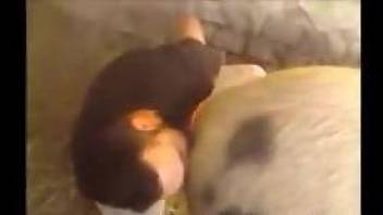 Kinky farmer buries his face in this pig's pussy