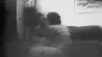 B&W retro video focusing on vintage bestiality sex