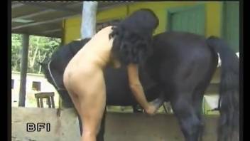 Brunette spreads her legs to take a horse cock