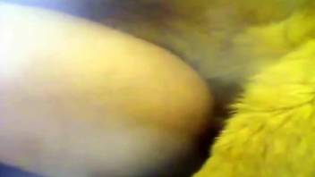 Assertive animal fucks a crossdresser's tight hole