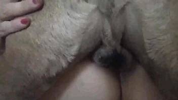 Dirty small dog fucking a chick's pussy on the floor