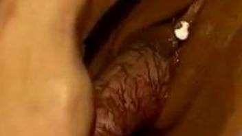 Meaty doggy boner looks nice in her tight wet vagina