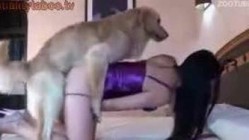 Masked Latina in purple panties fucking a kinky dog