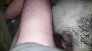 Huge cock fucking an animal hole real freaking hard