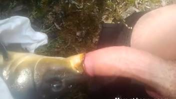 Aroused man screwing a fish in a thrilling animal sex video