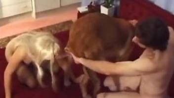 Rough doggy style sex with an unfaithful wife