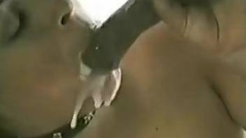 Collared hottie sucking on a stallion's big boner