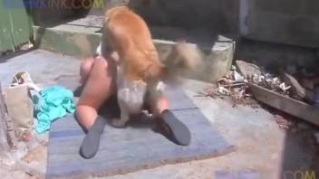 Big booty babe getting fucked by a horny doggo