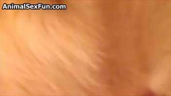 Hot chick with a rosy slit gets pounded doggy style by a pale pooch