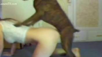 Amateur homemade video focusing on dog fucking