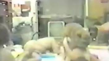 Retro orgy focusing on wild bestiality fucking