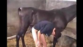 Subservient dude deepthroats a horse's hard cock