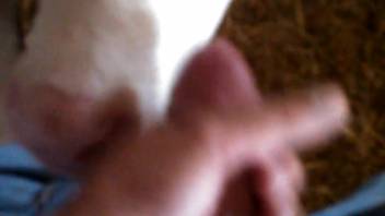 Guy thrusts his thick cock into this slut's eager throat