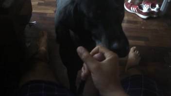 Dude's juicy cock pleasured orally by a subby dog