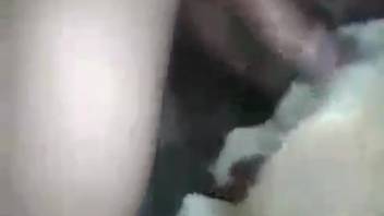Guy thrusts his dick deep into this beast's orifice