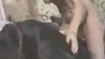 Good trained black dog in amazing amateur bestiality