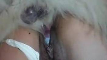 Furry animal deep fucks tight woman in both her holes