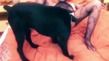 Aroused woman delights in bestial sex with a dark stray dog
