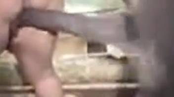 Woman with an flawless vagina slammed by the monster