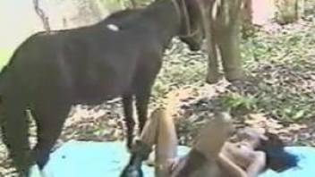 Black lovely mates with horse in heart of nature