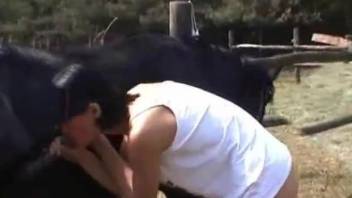 Short-haired brunette worships a stallion cock