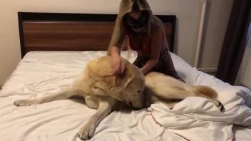 Disguised babe with a steamy cunt getting slammed by a puppy