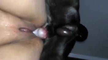 Smooth pussy temptress pounded by a perverted ebony hound