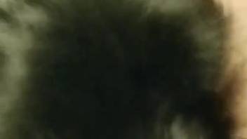Live webcam close-ups of intimate furry creature encounters