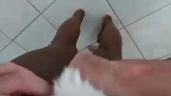 Ebony hottie getting bred by a big-dicked dog