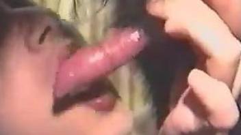 Thirsty whore sucks the dog penis like a slut