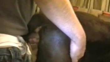 Man hard fucks dog then lets it lick his dick