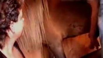 Mature fucked with bestiality by horse in front of her hubby