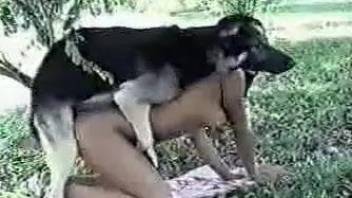 Compilation of hard doggy style bestiality