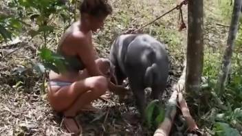 Black animal with a nice cock enjoys a blowjob