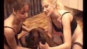 Two MILFs enjoying a wild bestiality threesome