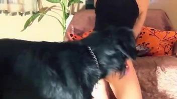 Brunette with a pretty face deepthroats a dog cock