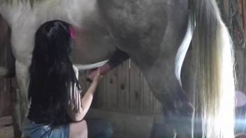 Hardcore barnyard fucking with a very hung beast