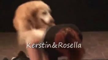 Hairy canine aggressively penetrates fair-haired spouse in steamy webcam sequences