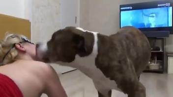 Seasoned dog fucker enjoying the animal's cock inside