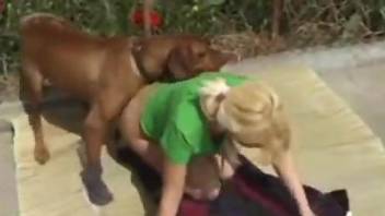 Green shirt hottie fucking a brown beast outdoors