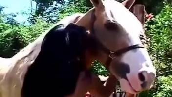 Erotic outdoor horse porn for a hot Latina babe