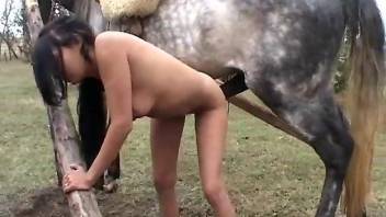 Skinny brunette fucking a big-dicked stallion